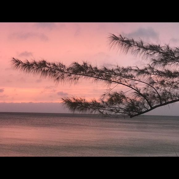 Meet your Posher, Oshen π¦π¬π§ - Picture 10 of 16